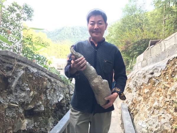 壽昌鎮(zhèn)周村敖樹(shù)林，巧手打造迷人庭院